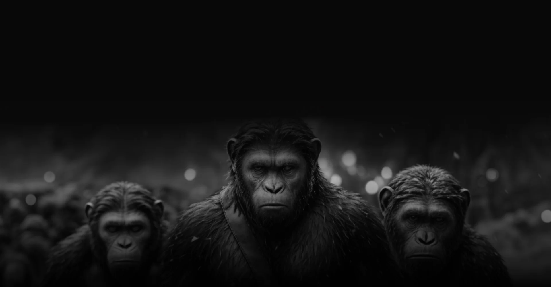 landinbg-banner